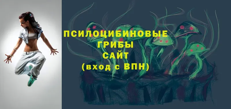 Псилоцибиновые грибы Psilocybe  Бологое 